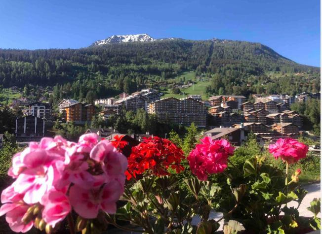 Sunny Swiss Mountain Studio In Centre By Jolidi Nendaz Dış mekan fotoğraf